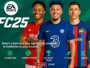 FIFA 25 ppsspp cover